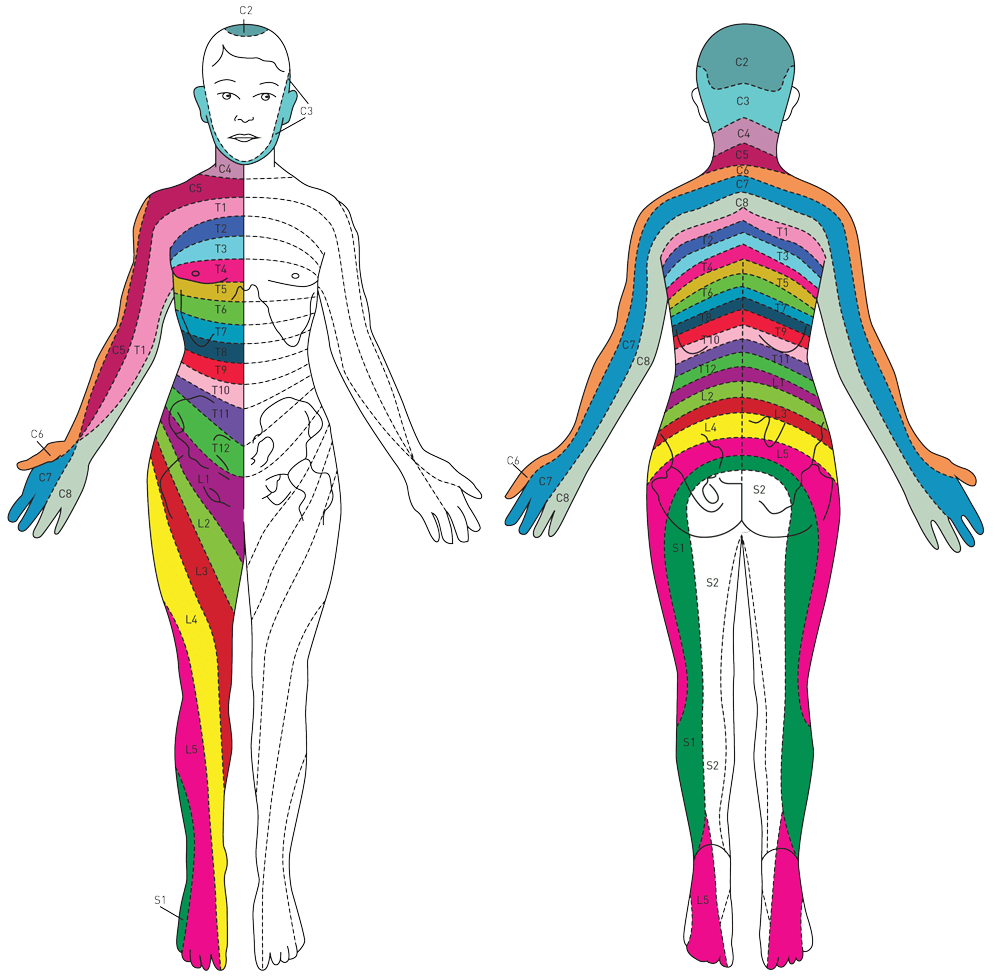 Neuropathy radiculitis protocol